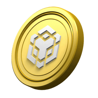 Koin BNB hiasan pada bagian informasi platform Karang Hasiltama